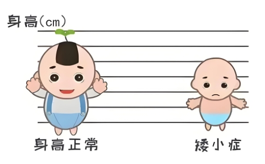 ���ݺ��Ӱ��������ܳ�����